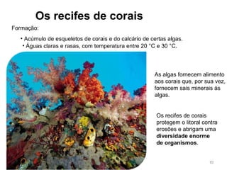 Formação:
As algas fornecem alimento
aos corais que, por sua vez,
fornecem sais minerais às
algas.
Os recifes de corais
• Águas claras e rasas, com temperatura entre 20 °C e 30 °C.
• Acúmulo de esqueletos de corais e do calcário de certas algas.
10
Os recifes de corais
protegem o litoral contra
erosões e abrigam uma
diversidade enorme
de organismos.
 