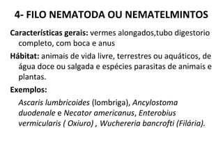 4- FILO NEMATODA OU NEMATELMINTOS
Características gerais: vermes alongados,tubo digestorio
completo, com boca e anus
Hábitat: animais de vida livre, terrestres ou aquáticos, de
água doce ou salgada e espécies parasitas de animais e
plantas.
Exemplos:
Ascaris lumbricoides (lombriga), Ancylostoma
duodenale e Necator americanus, Enterobius
vermicularis ( Oxiuro) , Wuchereria bancrofti (Filária).
 