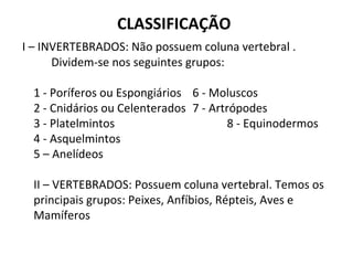 CLASSIFICAÇÃO
I – INVERTEBRADOS: Não possuem coluna vertebral .
Dividem-se nos seguintes grupos:
1 - Poríferos ou Espongiários 6 - Moluscos
2 - Cnidários ou Celenterados 7 - Artrópodes
3 - Platelmintos 8 - Equinodermos
4 - Asquelmintos
5 – Anelídeos
II – VERTEBRADOS: Possuem coluna vertebral. Temos os
principais grupos: Peixes, Anfíbios, Répteis, Aves e
Mamíferos
 