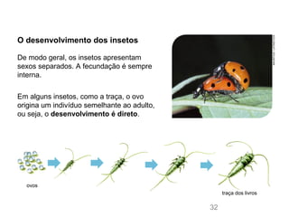 O desenvolvimento dos insetos
Em alguns insetos, como a traça, o ovo
origina um indivíduo semelhante ao adulto,
ou seja, o desenvolvimento é direto.
De modo geral, os insetos apresentam
sexos separados. A fecundação é sempre
interna.
MAURITIUS/LATINSTOCK
ovos
traça dos livros
32
 
