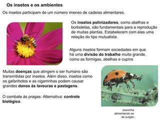 Os insetos e os ambientes
Os insetos polinizadores, como abelhas e
borboletas, são fundamentais para a reprodução
de muitas plantas. Estabelecem com elas uma
relação do tipo mutualista.
Os insetos participam de um número imenso de cadeias alimentares.
Alguns insetos formam sociedades em que
há uma divisão do trabalho muito grande,
como as formigas, abelhas e cupins
Muitas doenças que atingem o ser humano são
transmitidas por insetos. Além disso, insetos como
os gafanhotos e as cigarrinhas podem causar
grandes danos às lavouras e pastagens.
Joaninha
alimentando-se
de pulgão.
O combate às pragas: Alternativa: controle
biológico.
 