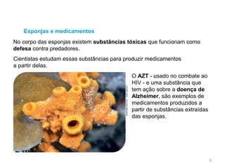 O AZT - usado no combate ao
HIV - e uma substância que
tem ação sobre a doença de
Alzheimer, são exemplos de
medicamentos produzidos a
partir de substâncias extraídas
das esponjas.
Esponjas e medicamentos
No corpo das esponjas existem substâncias tóxicas que funcionam como
defesa contra predadores.
Cientistas estudam essas substâncias para produzir medicamentos
a partir delas.
ANDRÉSEALI/PULSARIMAGENS
5
 