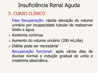 Insuficiência Renal Aguda
5. CURSO CLÍNICO
  Fase Recuperação: rápida elevação do volume
  urinário por incapacidade tubular de reabsorver
  Sódio e água.
 Azotemia continua
 Aumento do volume urinário (200 mL/dia)
 Diálise pode ser necessária!
  Recuperação funcional: após vários dias de
  diurese normal e redução gradual de uréia e
  creatinina plasmática.
 