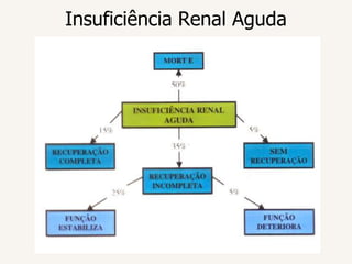 Insuficiência Renal Aguda
 