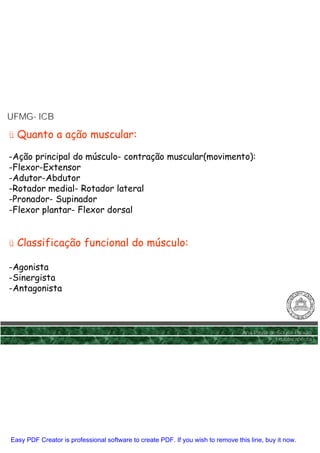 UFMG- ICB
UFMG-

ü Quanto a ação muscular:

-Ação principal do músculo- contração muscular(movimento):
-Flexor-Extensor
-Adutor-Abdutor
-Rotador medial- Rotador lateral
-Pronador- Supinador
-Flexor plantar- Flexor dorsal


ü Classificação funcional do músculo:

-Agonista
-Sinergista
-Antagonista



                                                                                 Ana Paula de Sousa Paixão
                                                                                             Fisioterapêuta




Easy PDF Creator is professional software to create PDF. If you wish to remove this line, buy it now.
 