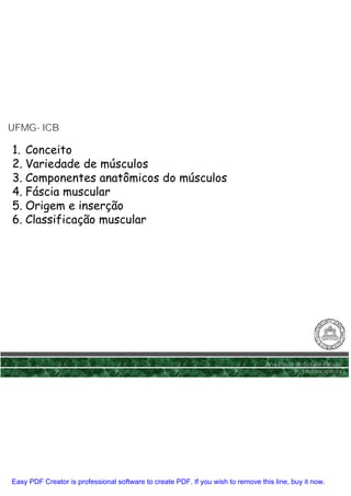 UFMG- ICB
UFMG-

1. Conceito
2. Variedade de músculos
3. Componentes anatômicos do músculos
4. Fáscia muscular
5. Origem e inserção
6. Classificação muscular




                                                                                 Ana Paula de Sousa Paixão
                                                                                             Fisioterapêuta




Easy PDF Creator is professional software to create PDF. If you wish to remove this line, buy it now.
 