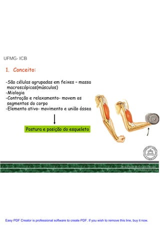 UFMG- ICB
UFMG-

1. Conceito:

-São células agrupadas em feixes – massa
 macroscópicas(músculos)
-Miologia
-Contração e relaxamento- movem os
 segmentos do corpo
-Elemento ativo- movimento e união óssea



              Postura e posição do esqueleto




                                                                                 Ana Paula de Sousa Paixão
                                                                                             Fisioterapêuta




Easy PDF Creator is professional software to create PDF. If you wish to remove this line, buy it now.
 
