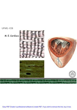 UFMG- ICB
UFMG-


   M. E. Cardíaco




                                                                                 Ana Paula de Sousa Paixão
                                                                                             Fisioterapêuta




Easy PDF Creator is professional software to create PDF. If you wish to remove this line, buy it now.
 