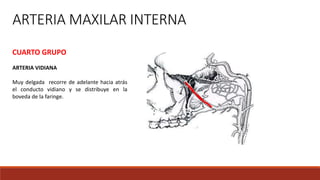 ARTERIA MAXILAR INTERNA
CUARTO GRUPO
ARTERIA VIDIANA
Muy delgada recorre de adelante hacia atrás
el conducto vidiano y se distribuye en la
boveda de la faringe.
 