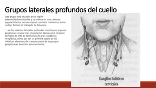 Este grupo está situados en la región
esternocleidomastoidea y se ordena en tres cadenas:
yugular interna, nervio espinal y cervical transversa, entre
las tres forman el triángulo de Rouviere.
Las dos cadenas laterales profundas constituyen el grupo
ganglionar cervical más importante, tanto como receptor
primario de linfa de territorios de gran incidencia
neoplásica, como por ser la primera escala de los
linfáticos eferentes de la mayor parte de los grupos
ganglionares descritos anteriormente.
Grupos laterales profundos del cuello
 