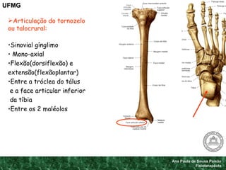 Ana Paula de Sousa Paixão Fisioterapêuta UFMG <ul><li>Articulação do tornozelo  </li></ul><ul><li>ou talocrural: </li></ul...