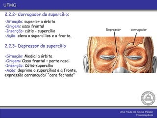 Aula ix musculos cabeça e pescoço | PPT