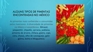 ALGUNS TIPOS DE PIMENTAS
ENCONTRADAS NO MÉXICO
As pimentas mais conhecidas e consumidas
pelos mexicanos. A diversidade de pimentas
no México é assombrosa. Mirasol,
jalapenhO, chipotle, serrano, poblano,
pimenta de árvore, chilaca, güero, copi,
cora, chawa, olho de caranguejo, galo-
galina, bolita e Miaguateco,
 