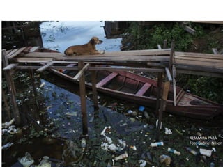 ALTAMIRA PARÁ
Foto Gabriel Nilson
 