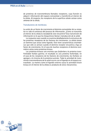 250
PISA en el Aula: Lectura
de proteínas de transmembrana llamados receptores, cuya función es
adquirir información del espacio extracelular y transferirla al interior de
la célula. Al respecto, los receptores de la superficie celular actúan como
antenas de la célula.
Transductores de membrana
La unión de un factor de crecimiento al dominio extracelular de su recep-
tor es sólo el comienzo del proceso de información. ¿Cómo se transmite
al interior de la célula la novedad de este encuentro? Esta transmisión de
información es lo que los bioquímicos llaman transducción de la señal.
La respuesta nace cuando se examina detalladamente la estructura de
las proteínas receptoras de los factores de crecimiento. La célula tienen
un dominio que actúa como ligando. Éste tiene características enzimáti-
cas que sólo se activan cuando el dominio receptor encuentra y liga un
factor de crecimiento. En el caso de muchos receptores el dominio enzi-
mático actúa como proteínas-kinasa.
Las proteínas-kinasas son enzimas que fosforilan a la proteína trans-
firiéndole fosfato gamma; el resultado es una proteína fosforilada. En
el caso de los receptores de los factores de crecimiento, los fosfatos se
agregan a la tirosina de la proteína-sustrato. Toda la actividad de trans-
misión transmembrana de la señal ocurre con el ligando en el espacio ex-
tracelular. La manera como el ligando externo causa la actividad tirosín
kinasa en el interior de la célula es producto de otros mecanismos.
 