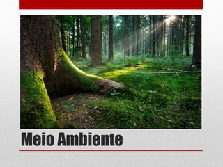 Meio Ambiente
 