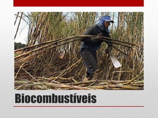Biocombustíveis
 
