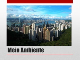 Meio Ambiente
 