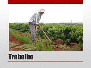 Trabalho
 