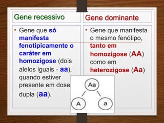 Gene recessivo 
• Gene que só 
manifesta 
fenotipicamente o 
caráter em 
homozigose (dois 
alelos iguais - aa), 
quando estiver 
presente em dose 
dupla (aa). 
Gene dominante 
• Gene que manifesta 
o mesmo fenótipo, 
tanto em 
homozigose (AA) 
como em 
heterozigose (Aa) 
 