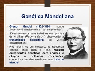 Genética Mendeliana 
• Gregor Mendel (1822-1884), monge 
Austríaco é considerado o ``pai da genética``. 
• Desenvolveu os seus trabalhos com plantas 
de ervilhas (Pisum sativum) observando a 
transmissão hereditária de várias 
características. 
• Nos jardins de um mosteiro, na República 
Tcheca, entre 1856 e 1863, realizou 
cruzamentos genéticos com ervilhas e 
chegou a brilhantes conclusões, 
conhecidas nos dias atuais como as Leis de 
Mendel 
 