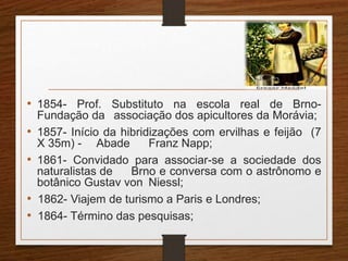 • 1854- Prof. Substituto na escola real de Brno- 
Fundação da associação dos apicultores da Morávia; 
• 1857- Início da hibridizações com ervilhas e feijão (7 
X 35m) - Abade Franz Napp; 
• 1861- Convidado para associar-se a sociedade dos 
naturalistas de Brno e conversa com o astrônomo e 
botânico Gustav von Niessl; 
• 1862- Viajem de turismo a Paris e Londres; 
• 1864- Término das pesquisas; 
 