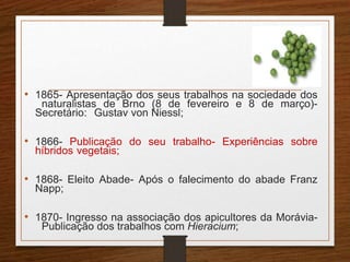 • 1865- Apresentação dos seus trabalhos na sociedade dos 
naturalistas de Brno (8 de fevereiro e 8 de março)- 
Secretário: Gustav von Niessl; 
• 1866- Publicação do seu trabalho- Experiências sobre 
híbridos vegetais; 
• 1868- Eleito Abade- Após o falecimento do abade Franz 
Napp; 
• 1870- Ingresso na associação dos apicultores da Morávia- 
Publicação dos trabalhos com Hieracium; 
 