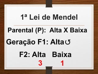 1ª Lei de Mendel 
Parental (P): Alta X Baixa 
Geração F1: Alta 
3 1 
↺ 
F2: Alta Baixa 
 