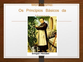 Mendelismo: 
Os Princípios Básicos da 
Herança 
 