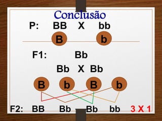 Conclusão 
P: BB X bb 
B b 
F1: Bb 
Bb X Bb 
B b B b 
F2: BB Bb Bb bb 3 X 1 
 