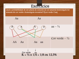 Exercícios 
Qual a probabilidade de um planta de semente de cor amarela heterozigoto ter 
semente de cor verde e homozigota recessiva? P(cor verde. E aa) 
Aa Aa 
A a A a aa – ¼ 
AA Aa Aa aa 
Cor verde – ½ 
R: = ½ x 1/4 = 1/8 ou 12,5% Cor verde aa 
 
