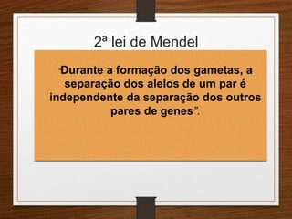 2ª lei de Mendel 
“Durante a formação dos gametas, a 
separação dos alelos de um par é 
independente da separação dos outros 
pares de genes”. 
 