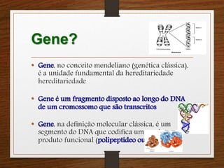 Gene? 
• Gene, no conceito mendeliano (genética clássica), 
é a unidade fundamental da hereditariedade 
hereditariedade 
• Gene é um fragmento disposto ao longo do DNA 
de um cromossomo que são transcritos 
• Gene, na definição molecular clássica, é um 
segmento do DNA que codifica um produto 
produto funcional (polipeptídeo ou RNA) 
 