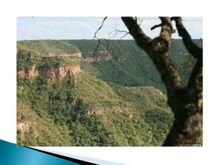 Aula lei pnma e sisnama