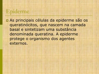 Epiderme


As principais células da epiderme são os
queratinócitos, que nascem na camada
basal e sintetizam uma substância
denominada queratina. A epiderme
protege o organismo dos agentes
externos.

 