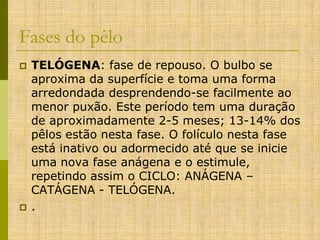 Fases do pêlo




TELÓGENA: fase de repouso. O bulbo se
aproxima da superfície e toma uma forma
arredondada desprendendo-se facilmente ao
menor puxão. Este período tem uma duração
de aproximadamente 2-5 meses; 13-14% dos
pêlos estão nesta fase. O folículo nesta fase
está inativo ou adormecido até que se inicie
uma nova fase anágena e o estimule,
repetindo assim o CICLO: ANÁGENA –
CATÁGENA - TELÓGENA.
.

 