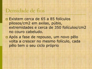 Densidade de fios
Existem cerca de 65 a 85 folículos
pilosos/cm2 em axilas, púbis,
extremidades e cerca de 350 folículos/cm2
no couro cabeludo.
 Após a fase de repouso, um novo pêlo
volta a crescer no mesmo folículo, cada
pêlo tem o seu ciclo próprio


 