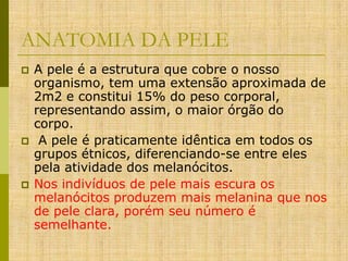ANATOMIA DA PELE






A pele é a estrutura que cobre o nosso
organismo, tem uma extensão aproximada de
2m2 e constitui 15% do peso corporal,
representando assim, o maior órgão do
corpo.
A pele é praticamente idêntica em todos os
grupos étnicos, diferenciando-se entre eles
pela atividade dos melanócitos.
Nos indivíduos de pele mais escura os
melanócitos produzem mais melanina que nos
de pele clara, porém seu número é
semelhante.

 