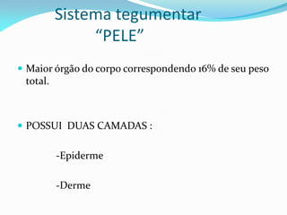 Sistema tegumentar
“PELE”
 Maior órgão do corpo correspondendo 16% de seu peso
total.
 POSSUI DUAS CAMADAS :
-Epiderme
-Derme
 