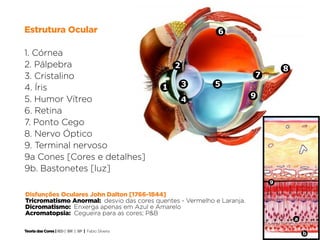 Estrutura Ocular                                                6

1. Córnea
2. Pálpebra                                             2                       8
3. Cristalino                                                           7
4. Íris                                             1       3   5
5. Humor Vítreo                                                         9
                                                            4
6. Retina
7. Ponto Cego
8. Nervo Óptico
9. Terminal nervoso
9a Cones [Cores e detalhes]
9b. Bastonetes [luz]
                                                                            9

Disfunções Oculares John Dalton [1766-1844]
Tricromatismo Anormal: desvio das cores quentes - Vermelho e Laranja.
Dicromatismo: Enxerga apenas em Azul e Amarelo
Acromatopsia: Cegueira para as cores; P&B
                                                                                    a

Teoria das Cores | IED | BR | SP | Fabio Silveira
                                                                                        b
 