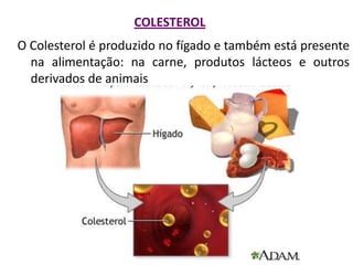 COLESTEROL
O Colesterol é produzido no fígado e também está presente
na alimentação: na carne, produtos lácteos e outros
derivados de animais
 