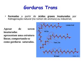 Gorduras Trans
• Formadas a partir de ácidos graxos insaturados por
hidrogenação natural (no rúmen de animais) ou industrial;
Apesar de serem
insaturadas
apresentam uma estrutura
linear, comportando-se
como gorduras saturadas.
 