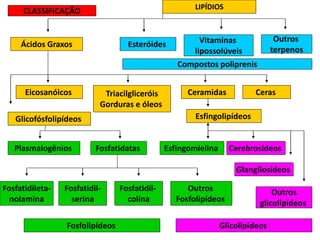 LIPÍDIOS
EsteróidesÁcidos Graxos Vitaminas
lipossolúveis
Compostos poliprenis
Outros
terpenos
Triacilgliceróis
Gorduras e óleos
Eicosanóicos Ceramidas Ceras
Glicofósfolipídeos Esfingolipídeos
Glangliosídeos
Fosfatidileta-
nolamina
Esfingomielina
Outros
glicolipídeos
Plasmalogênios CerebrosídeosFosfatidatas
Fosfatidil-
serina
Fosfatidil-
colina
Outros
Fosfolipídeos
GlicolipídeosFosfolipídeos
CLASSIFICAÇÃO
 