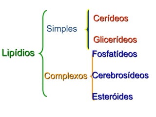 Lipídios
Simples
Cerídeos
Glicerídeos
Complexos
Fosfatídeos
Cerebrosídeos
Esteróides
 
