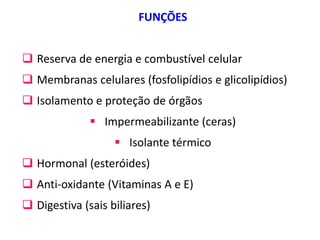 FUNÇÕES
 Reserva de energia e combustível celular
 Membranas celulares (fosfolipídios e glicolipídios)
 Isolamento e proteção de órgãos
 Impermeabilizante (ceras)
 Isolante térmico
 Hormonal (esteróides)
 Anti-oxidante (Vitaminas A e E)
 Digestiva (sais biliares)
 
