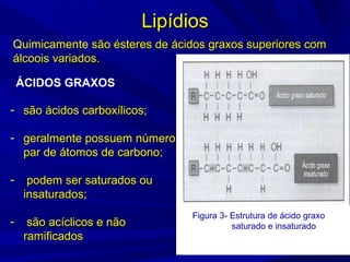 LipídiosLipídios
Quimicamente são ésteres de ácidos graxos superiores comsão ésteres de ácidos graxos superiores com
álcoois variados.álcoois variados.
- são ácidos carboxílicos;são ácidos carboxílicos;
- geralmente possuem númerogeralmente possuem número
par de átomos de carbono;par de átomos de carbono;
- podem ser saturados oupodem ser saturados ou
insaturados;insaturados;
- são acíclicos e nãosão acíclicos e não
ramificadosramificados
ÁCIDOS GRAXOS
Figura 3- Estrutura de ácido graxo
saturado e insaturado
 