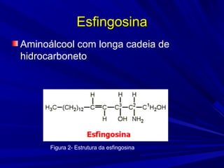 EsfingosinaEsfingosina
Aminoálcool com longa cadeia de
hidrocarboneto
Figura 2- Estrutura da esfingosina
 