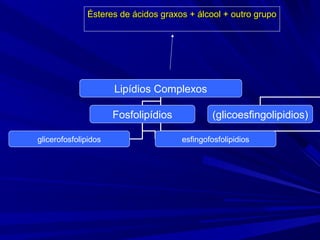Lipídios Complexos
Fosfolipídios (glicoesfingolipidios)
glicerofosfolipidos esfingofosfolipidios
Ésteres de ácidos graxos + álcool + outro grupoÉsteres de ácidos graxos + álcool + outro grupo
 