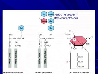Tecido nervoso em
altas concentrações
 