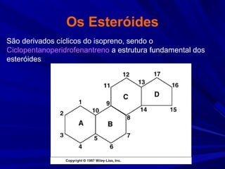 Os Esteróides
São derivados cíclicos do isopreno, sendo o
Ciclopentanoperidrofenantreno a estrutura fundamental dos
esteróides
 
